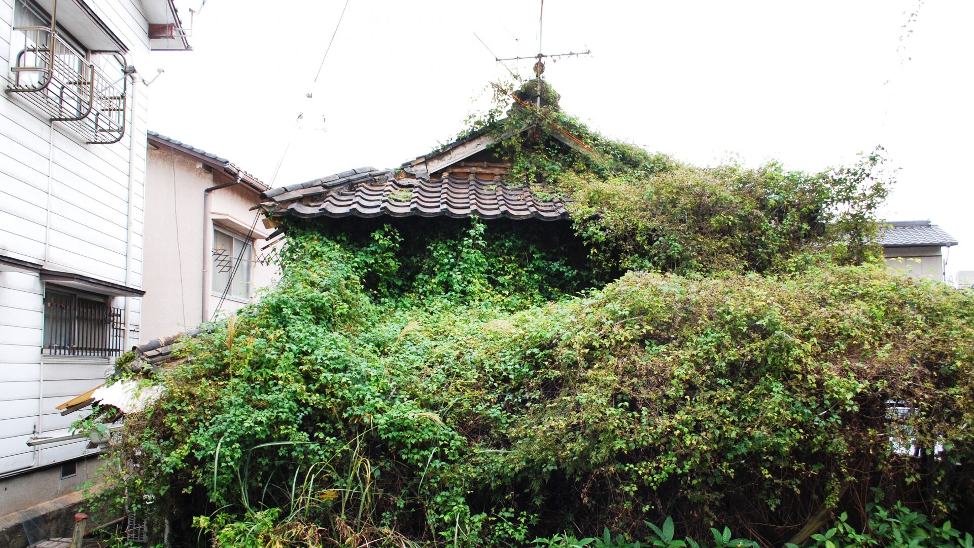 「特定空家」に指定されるとどうなる？解体工事に至るまでの流れ