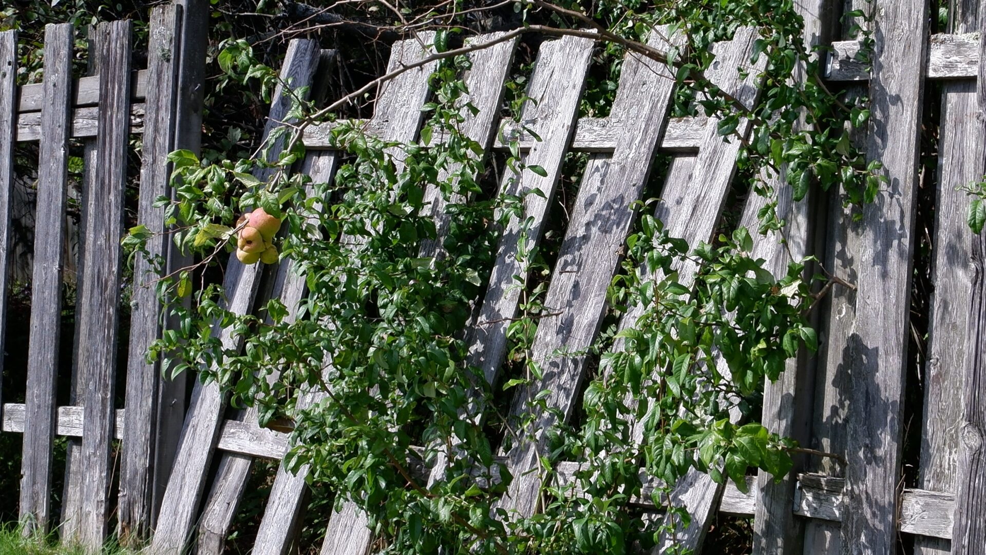 福岡での施工における注意点と地域特性への対応