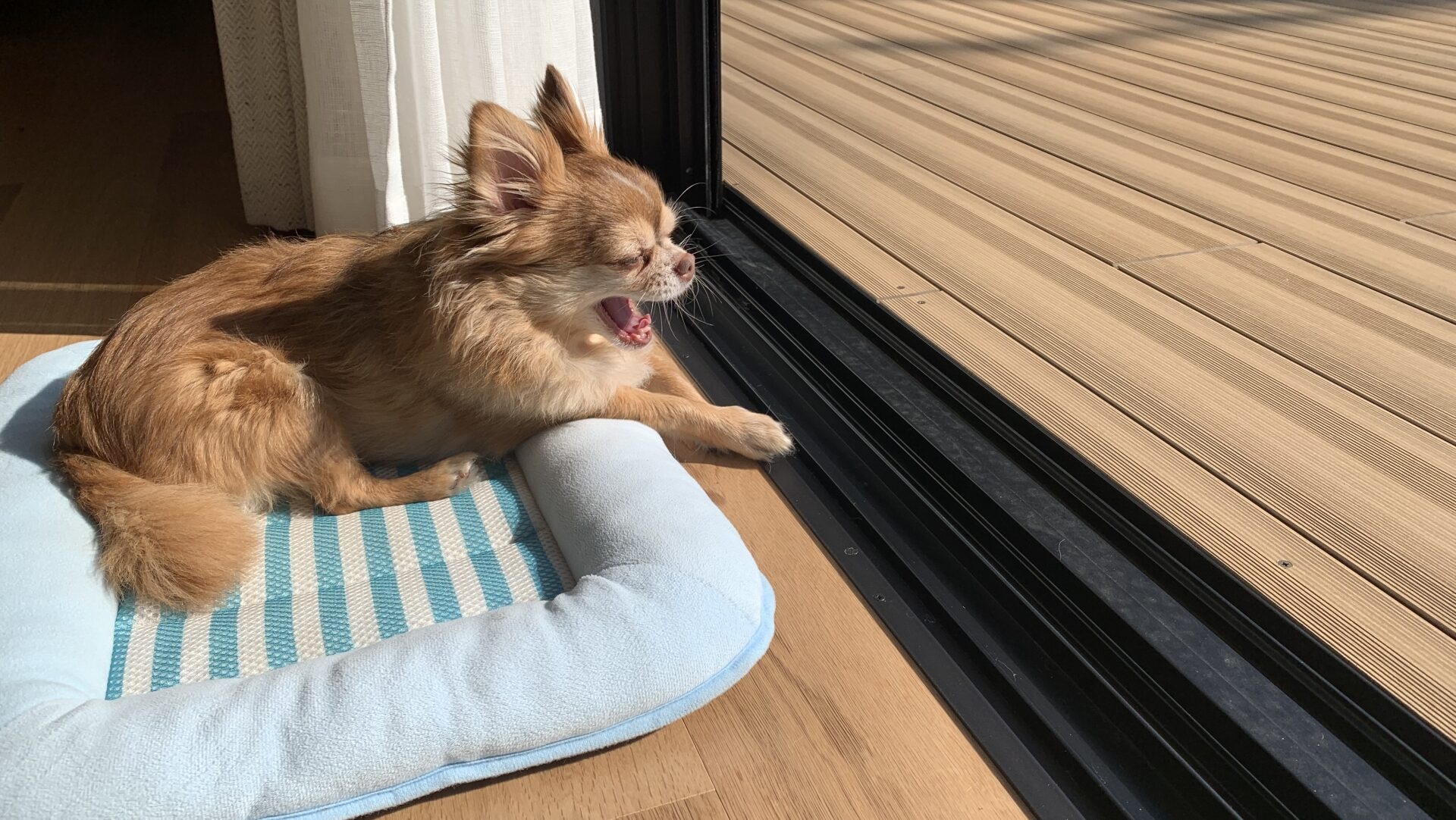 リビングと同じ高さのタイルデッキで失敗しないための重要技術