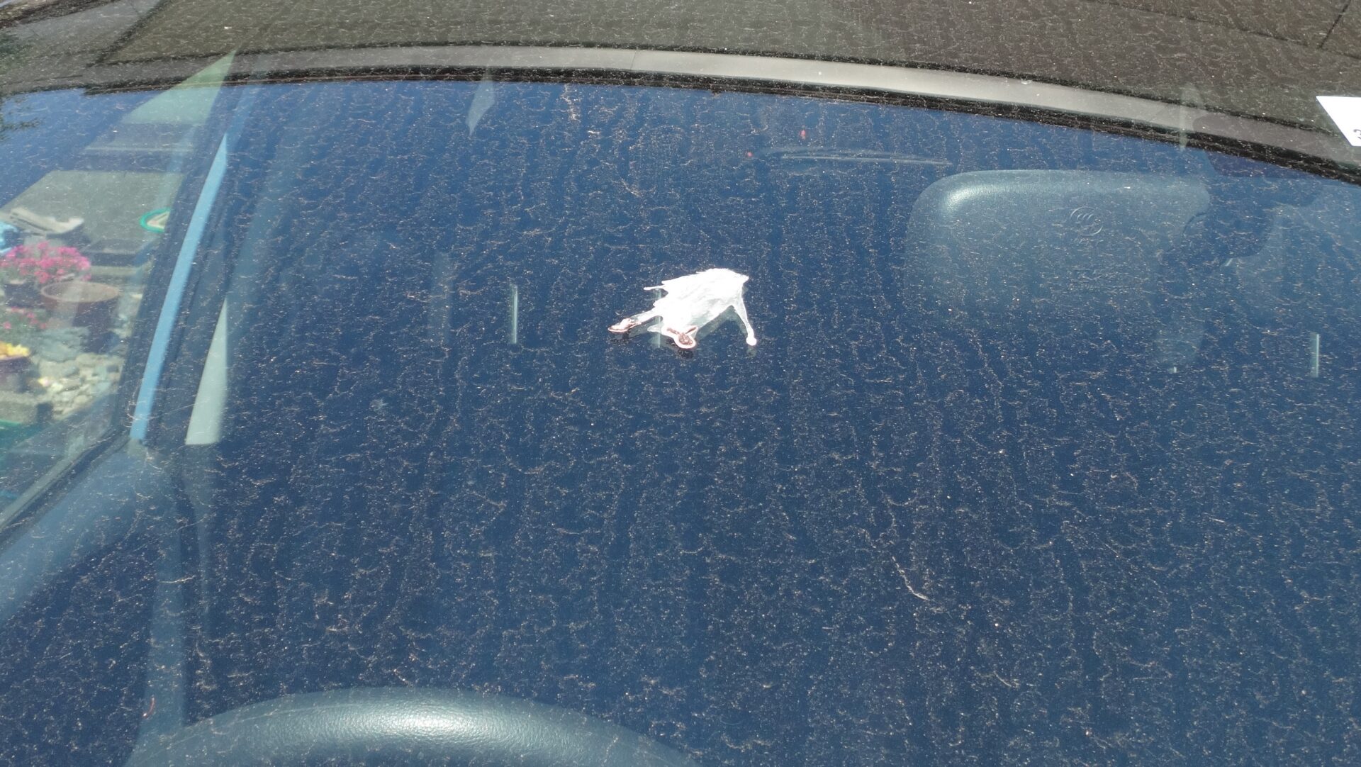 カーポート設置の具体的なメリット