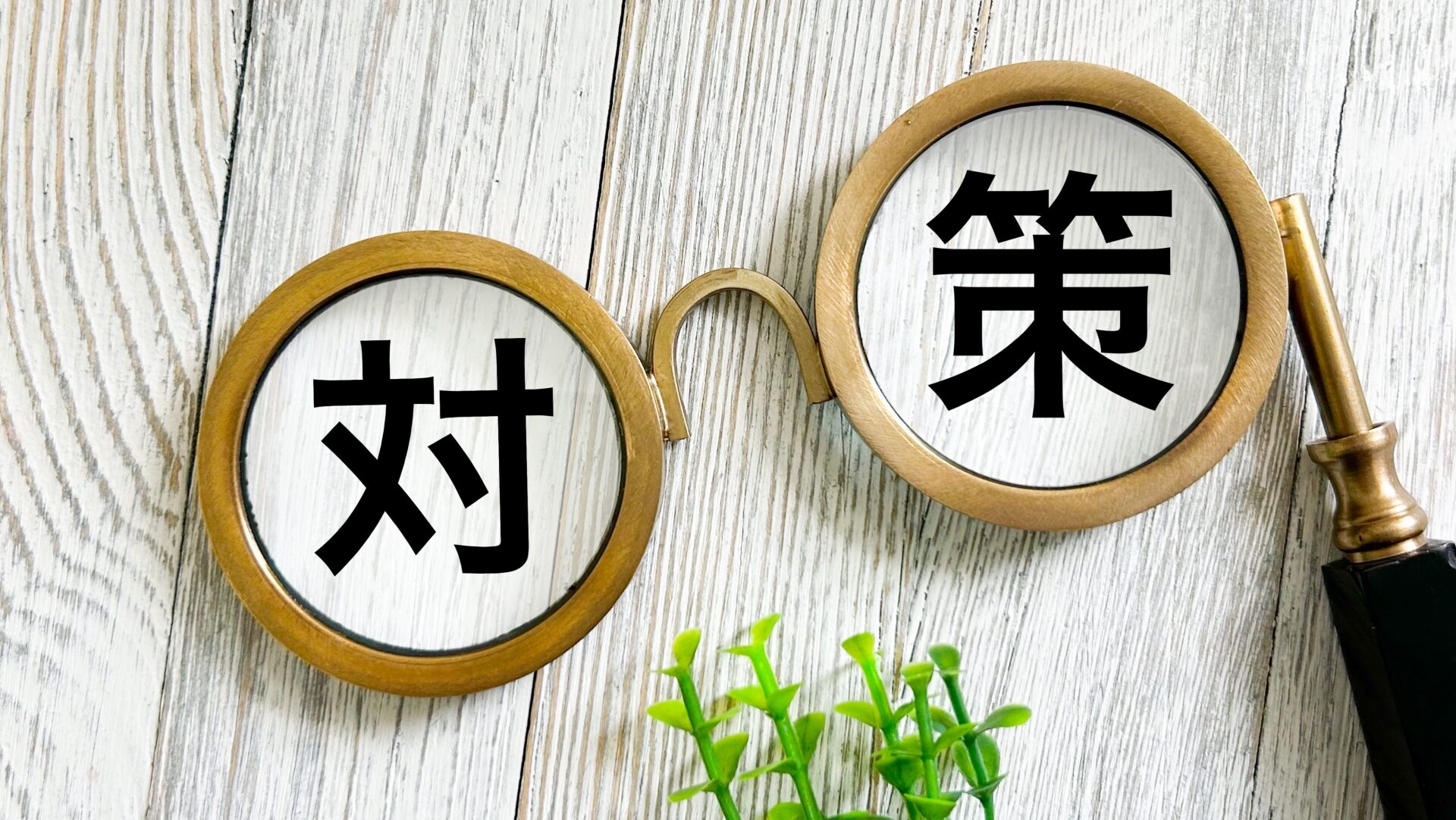 福岡の気候に適した門扉の選び方