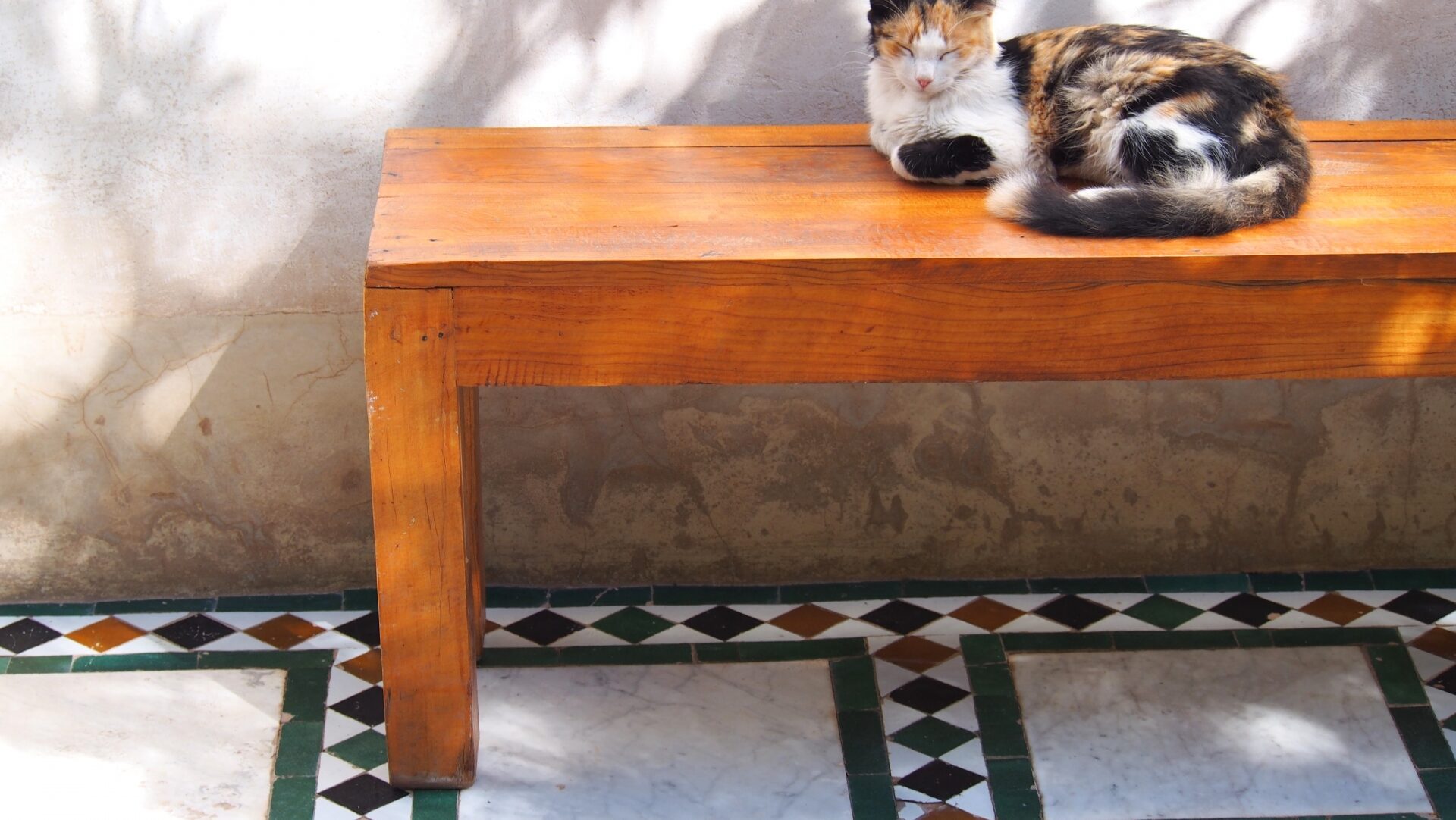 タイルデッキのメリット・デメリットを知って失敗を防ぐ