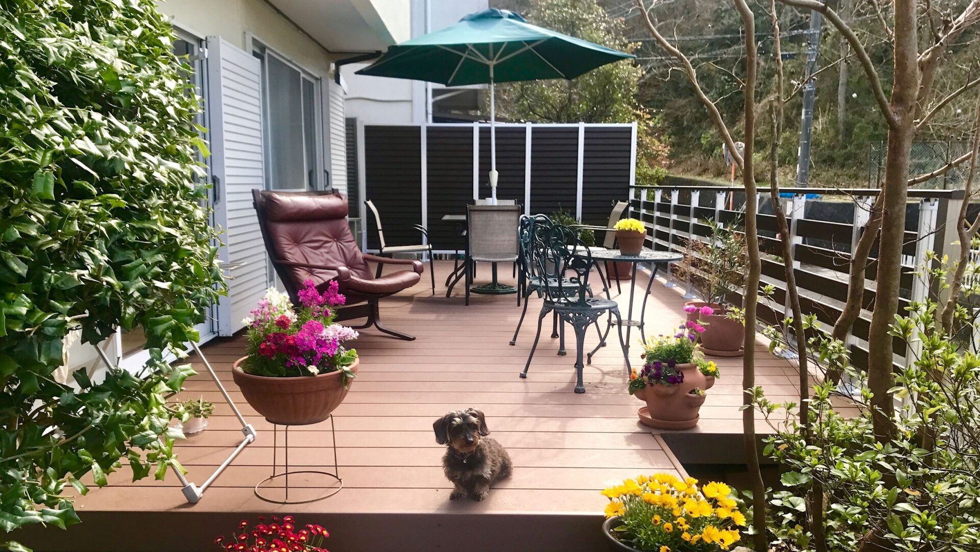 ウッドデッキとタイルデッキの徹底比較