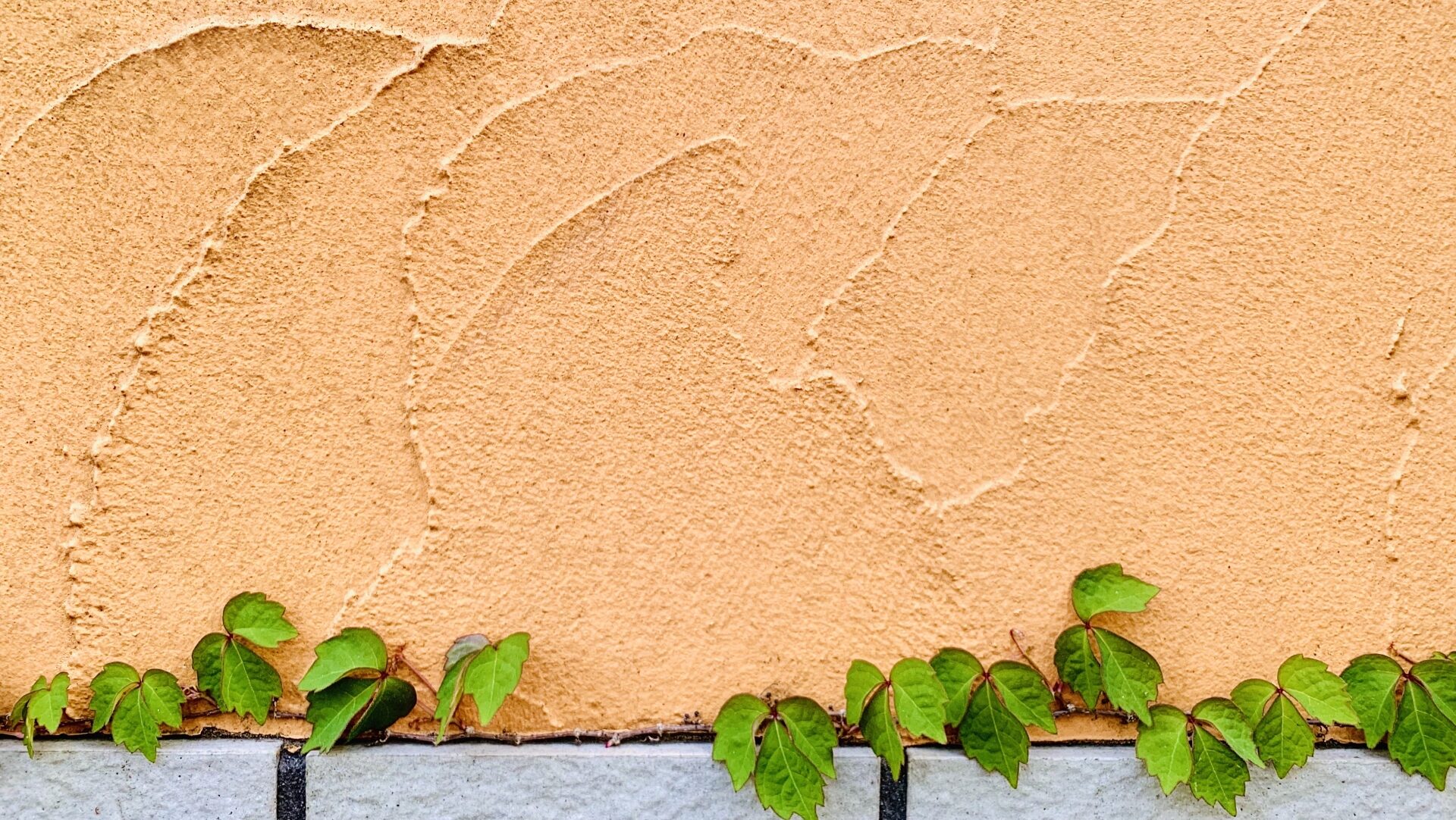 ジョリパットの寿命を延ばす!適切なメンテナンスと塗り替え方法