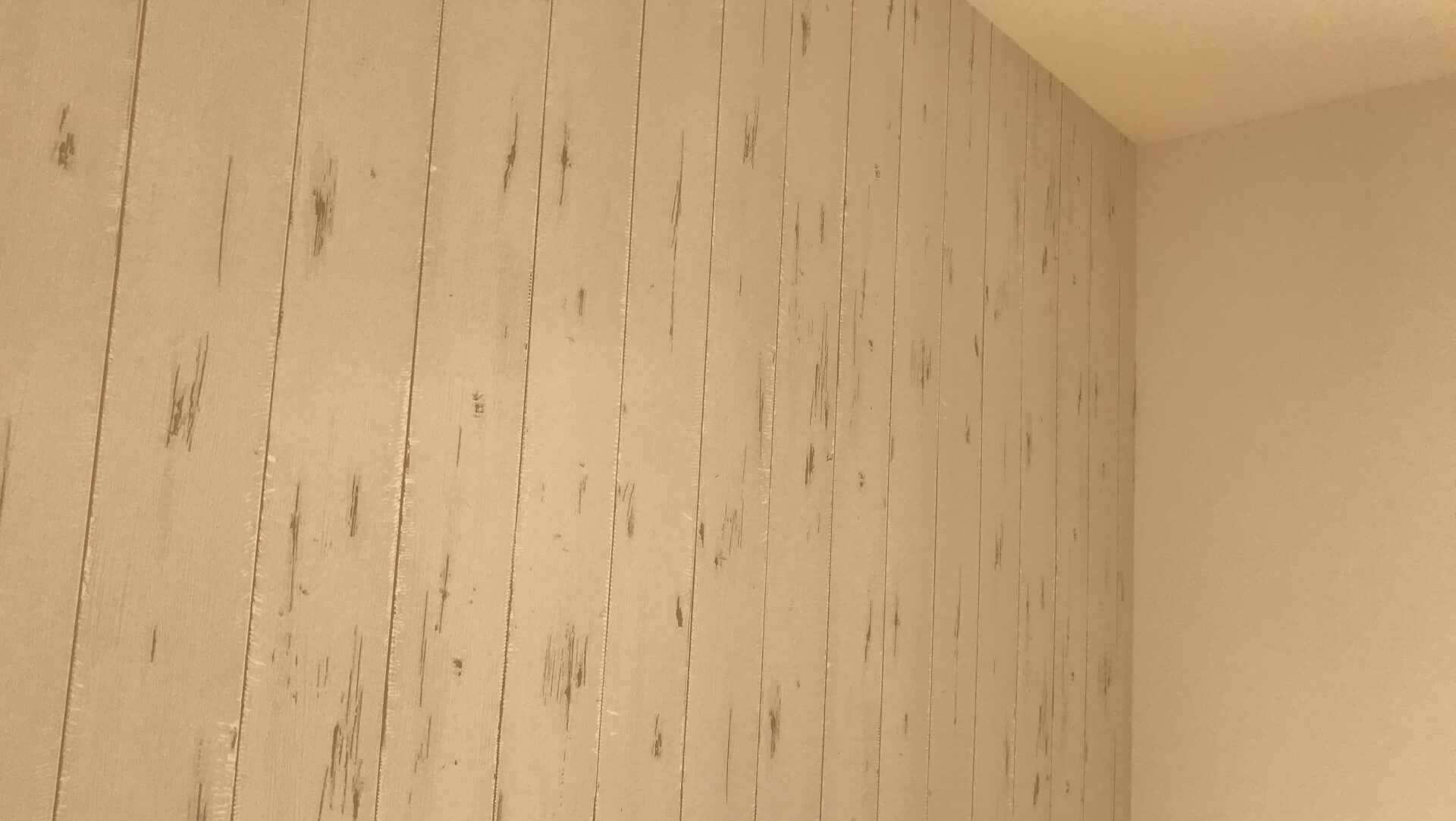 【スタイル別】玄関のアクセントクロスおすすめデザイン