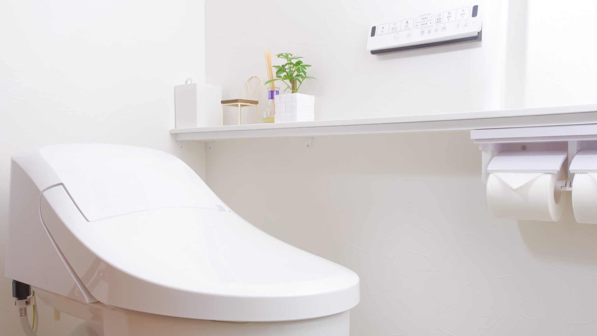 トイレの壁紙風水でさらに運気を上げる素材と柄の活用術