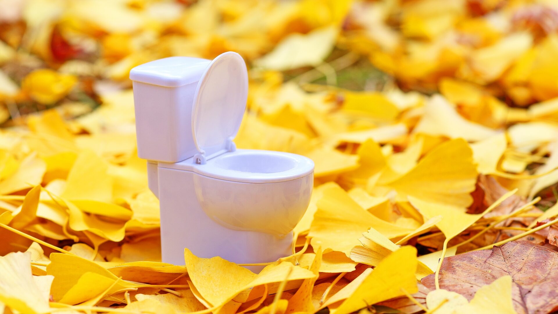 デメリットを解消するメリットと選ばれる理由