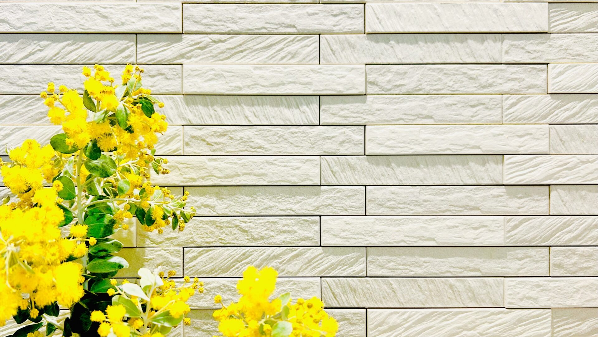 玄関にエコカラットを取り入れるメリットと福岡の気候